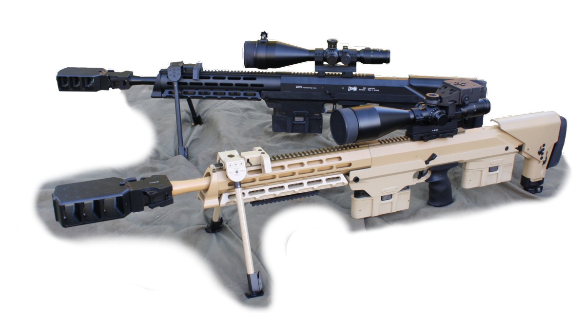 IEA - DSR 1